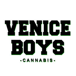 Venice Boys Cannabis insta